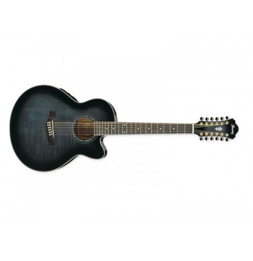 IBANEZ AEL2012E TKS, 12-strunska elektro-akustična kitara